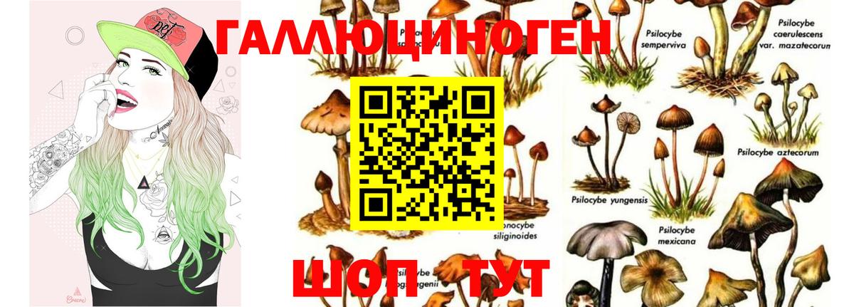 Галлюциногенные грибы MAGIC MUSHROOMS Тара
