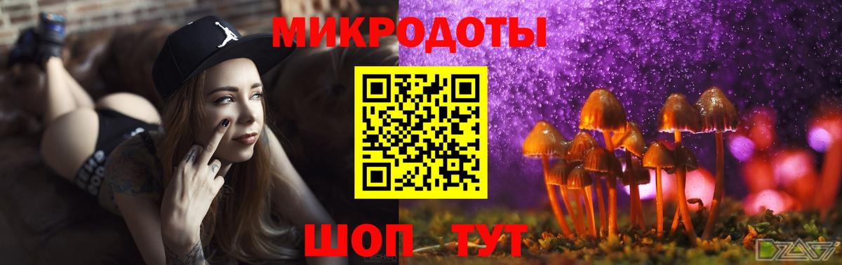 Псилоцибиновые грибы Magic Shrooms  где купить наркоту  Тара  Вход с VPN 